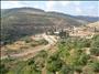 Palestine missed the opportunity to apply submit Battir for World Heritage Site status (photo: Ma'an - Nadine Abu Mor)