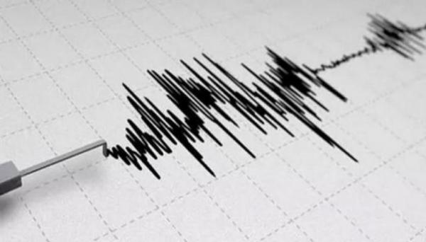 Magnitude 4.8 earthquake strikes Turkey