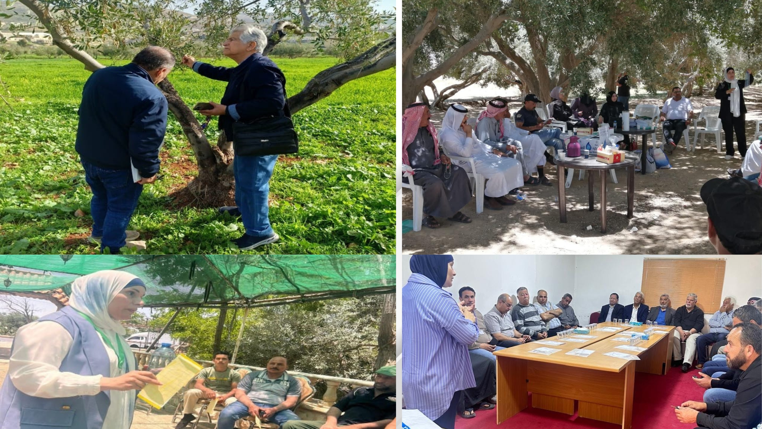 Agriculture Ministry provides 1,460L of insecticides, fungicides to fight olive pests