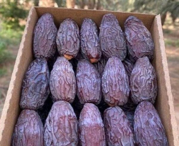 Qatar’s imports of Jordanian dates increase by 14.2% in H1 of 2024 