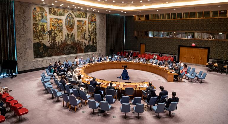 UN Security Council holds emergency meeting over Gaza fighting 