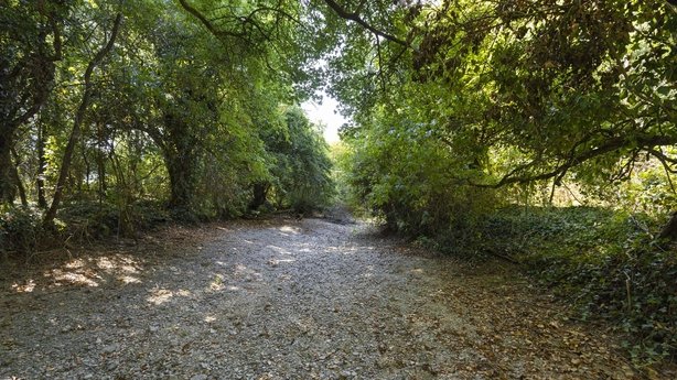 Drought in England, fires rage in France as heatwave persists