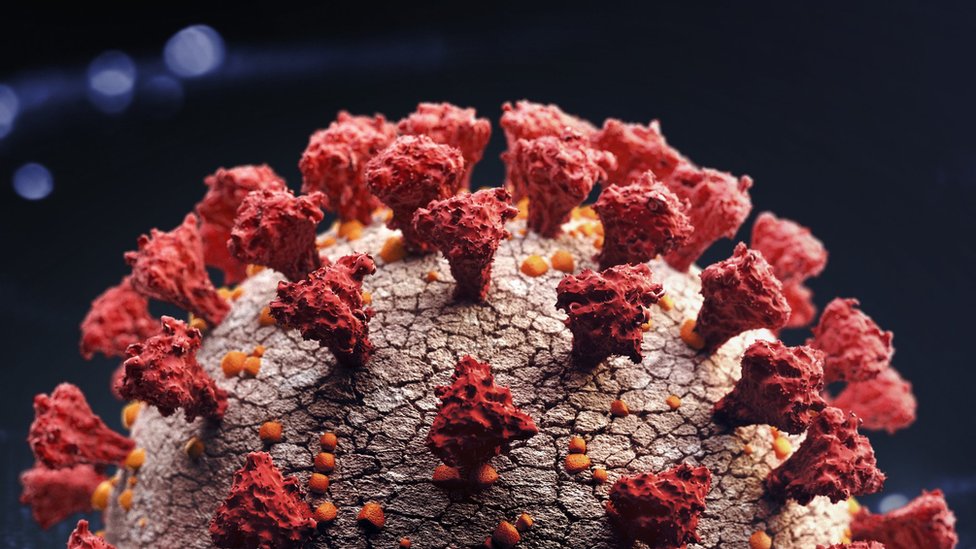 WHO says new COVID variant found in 8 European countries