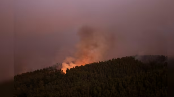 Chile declares & 039;state of catastrophe& 039; as wildfires leave at least 18 dead