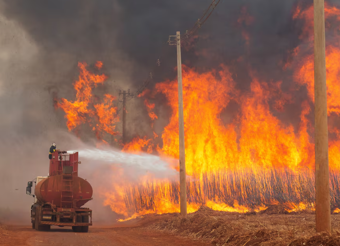 Wildfires rage in sugar cane fields in Brazils southeast