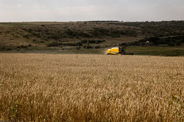 Russias attacks create new challenges to global food security