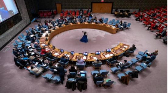 UN Security Council to meet Friday over Israeli aggression on Jenin