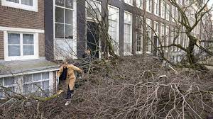 Storm Eunice kills 16 people across Europe