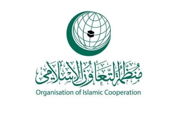 OIC strongly condemns burning copy of Holy Quran in Danish capital