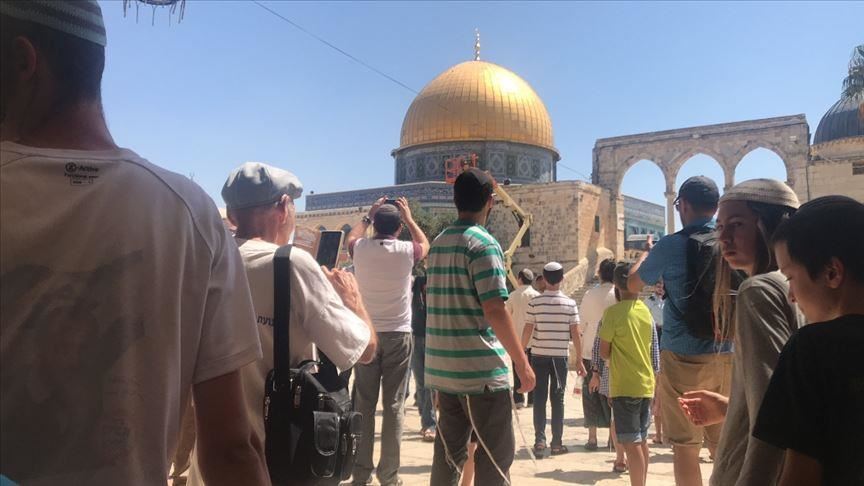  Dozens of extremist settlers storm Al-Aqsa Mosque