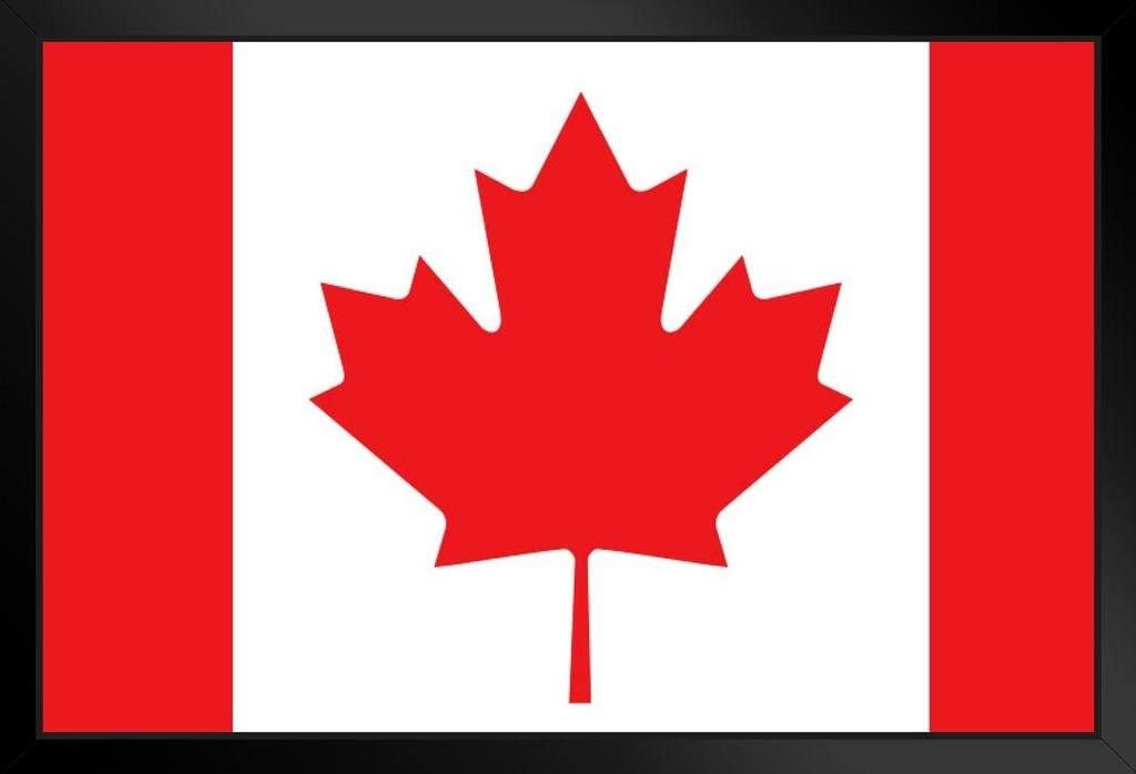 Canada pledges $485 million to help developing countries cope with COVID-19