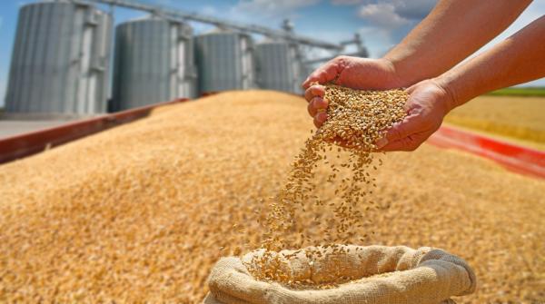 Government reduces flour, wheat prices despite global rise