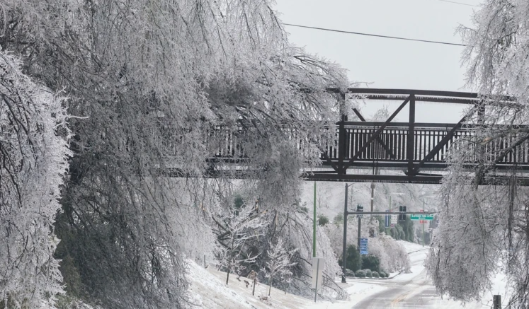 US winter storm leaves at least 29 deaths across multiple states