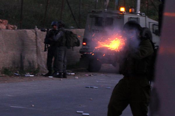 2 Palestinians killed in Israeli army assault near Jenin