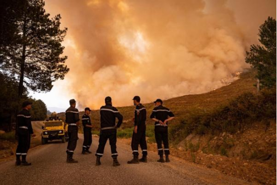 Wildfires kill 15 in Algeria, 1,500 evacuated 