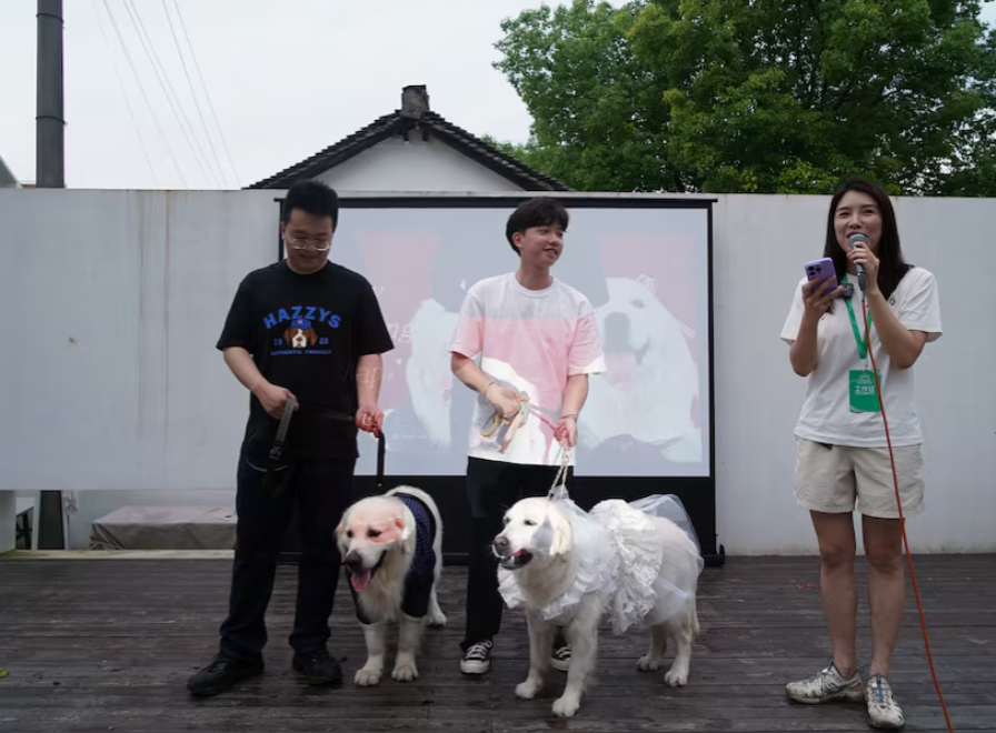 Puppy love: Canine weddings on the rise in China