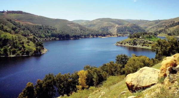 Water Ministry: Jordan's dams receive 1.5mcm over last 24 hours ...