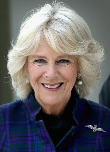 Camilla, wife of Britains King Charles, tests positive for COVID
