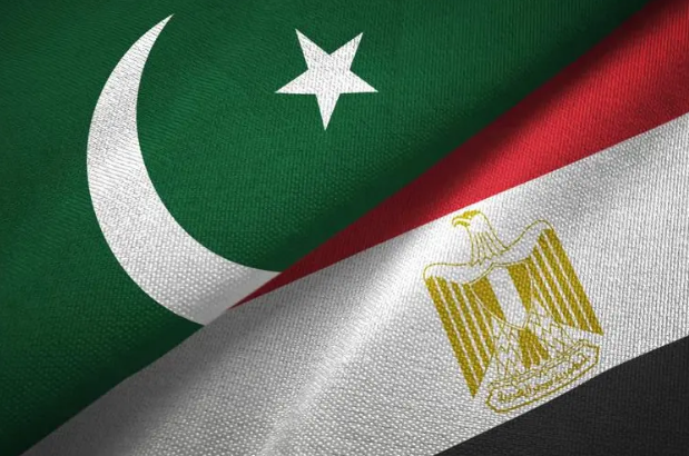 Egypt, Pakistan discuss Iran war