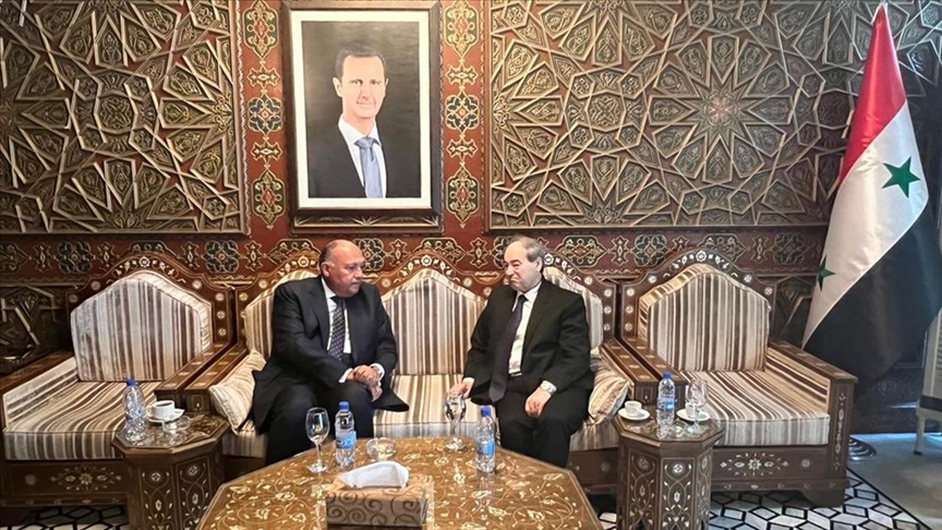 Egyptian foreign minister visits Damascus for first time since 2011