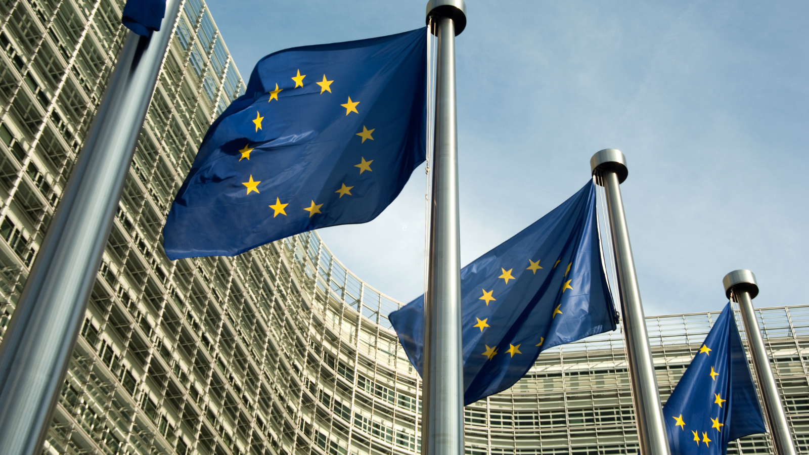 European Parliament members call to agree on sanctions against Israeli government