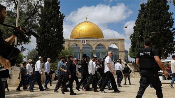 420 Israeli colonists storm Al-Aqsa Mosque on Wednesday