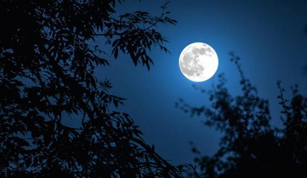 Harvest moon to light up Jordan’s sky next Friday 
