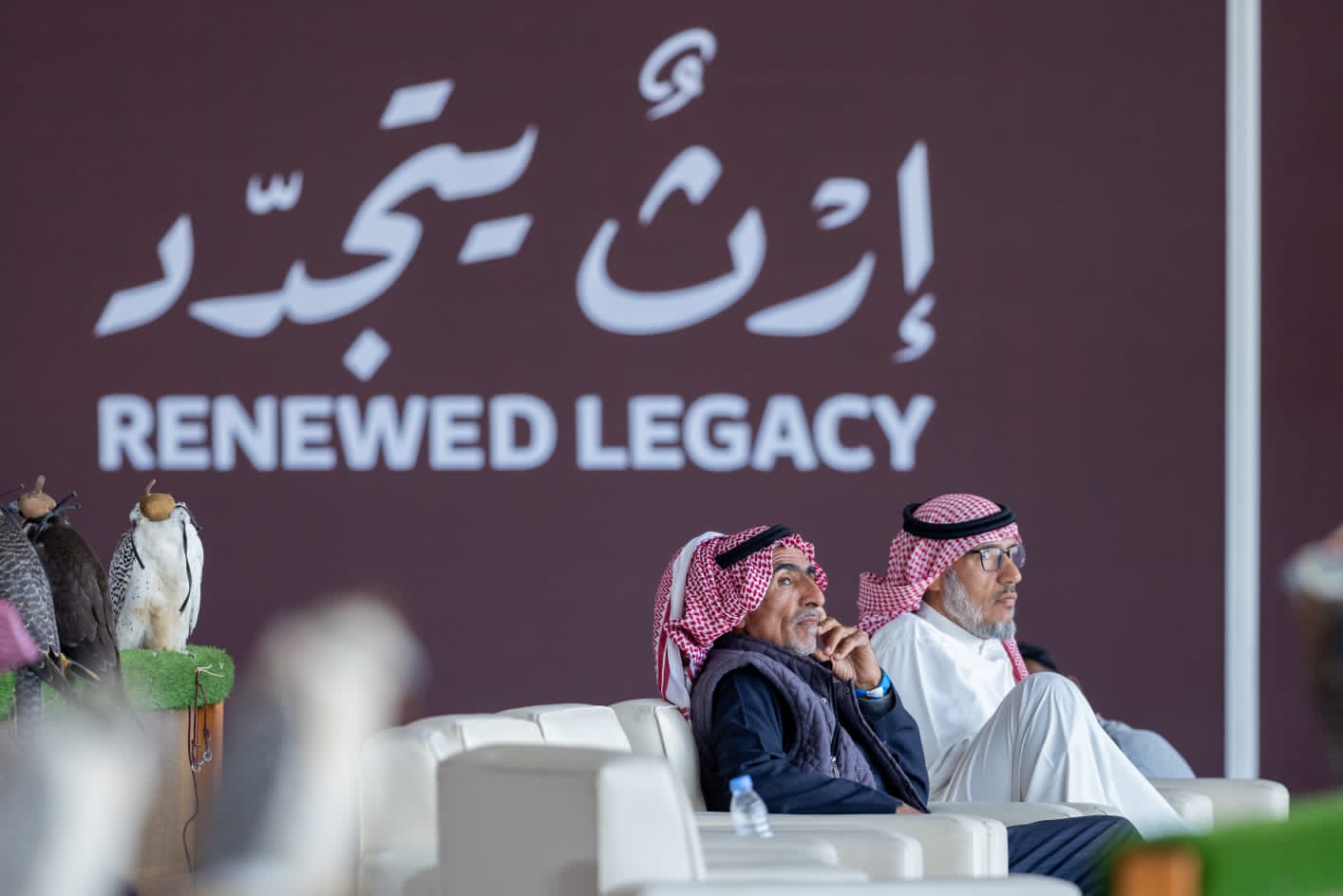 Competition ignites over $8 million at the King Abdulaziz International Falconry Festival