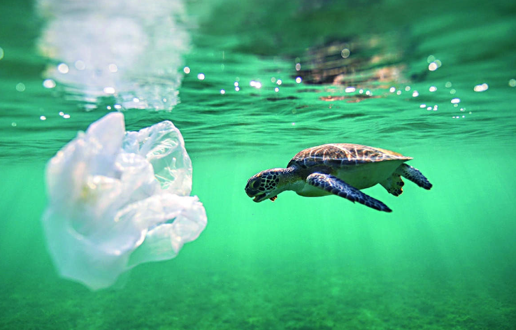 Ocean floor 'reservoir' of plastic pollution, study finds