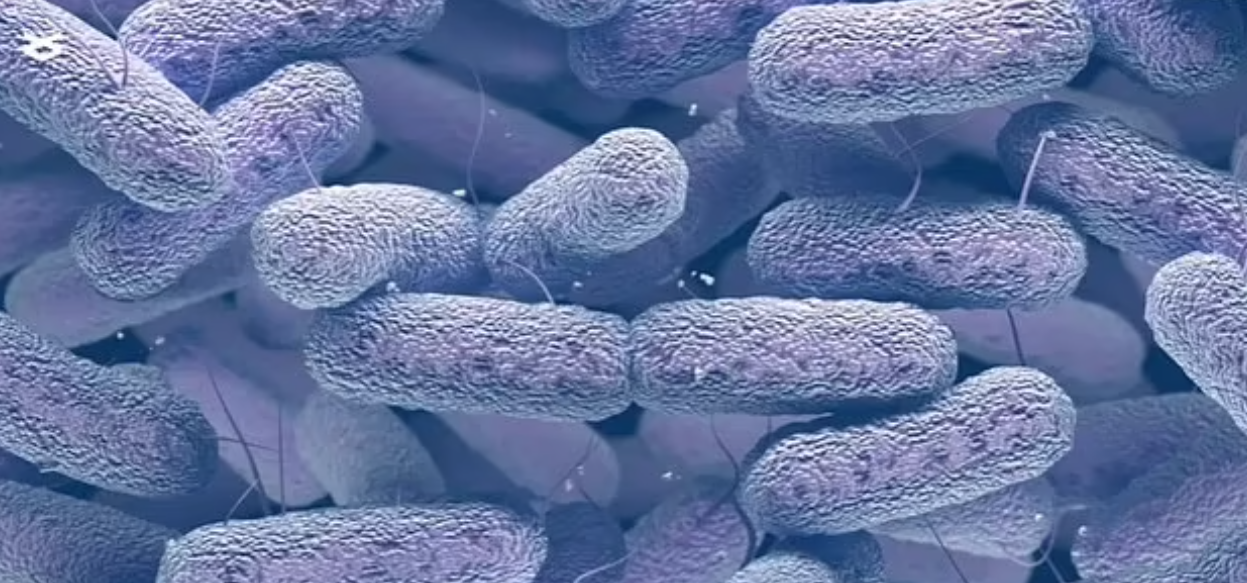 NASA finds new mutant bacteria in space 